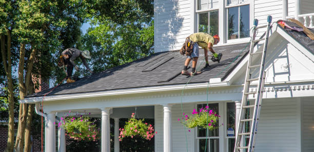 Best Roof Moss and Algae Removal  in Lakeview, WA